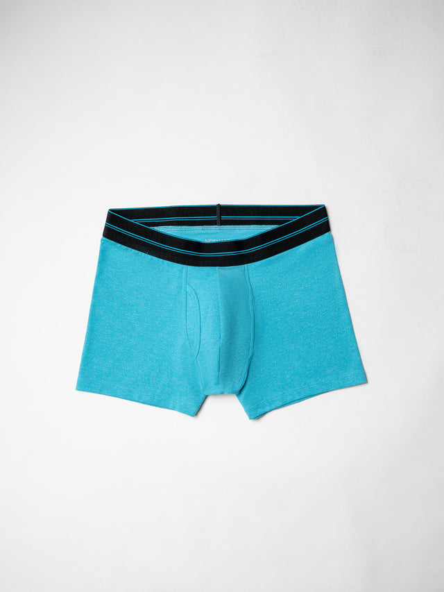 Iconic Boxer Shorts 2.0