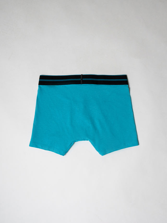 Iconic Boxer Shorts 2.0